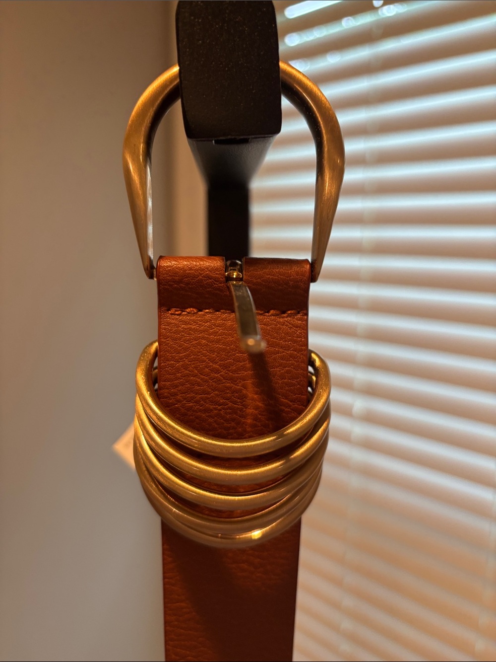 NWT Lane Bryant Brown Belt